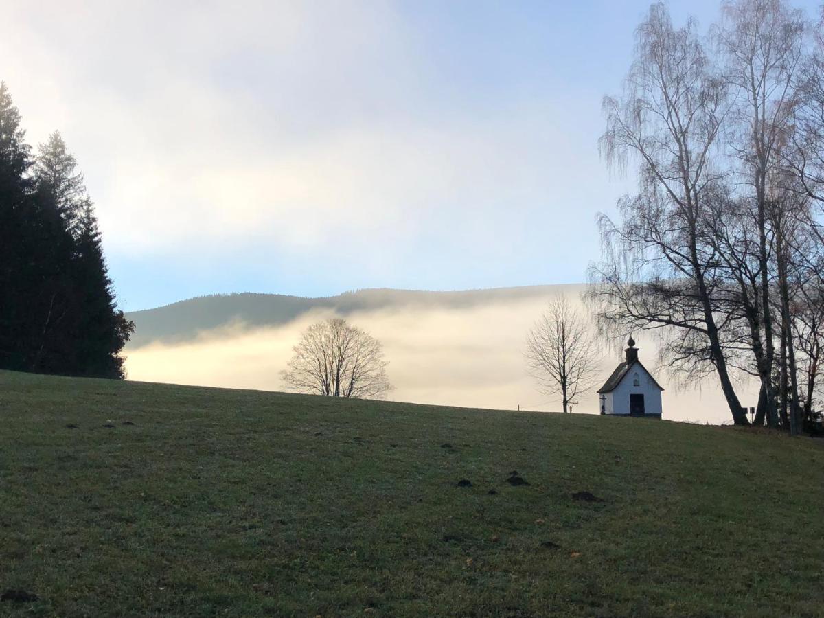 Chata Jezevec Hojsova Stráž Extérieur photo