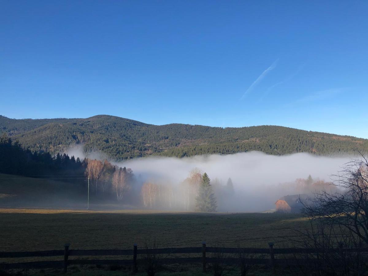 Chata Jezevec Hojsova Stráž Extérieur photo